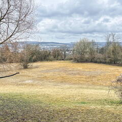 25-03-24 12-08-43 2617